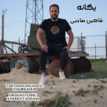 دانلود آهنگ جدید شاهین صاحبی به نام یگانه